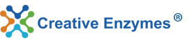Creative Enzymes Introduces Starch and Sweetener Enzymes at the Lowest Conversion Cost