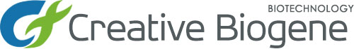 Microbiosci Offers Reliable Strain Selection and Fermentation Services to Suit the Needs of Microbial Research 1 Microbiosci Offers Reliable Strain Selection and Fermentation Services to Suit the Needs of Microbial Research 44