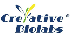 Creative Biolabs Supplements Novel Single-domain Antibody Development with New Service Lines