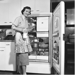 Growth of Pharmacy Refrigerators from 1.0 to n.0 Growth of Pharmacy Refrigerators from 1.0 to n.0