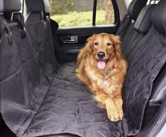 Best Pet Accessories When Buying A New Dog – King Stop N Shop 9 Best Pet Accessories When Buying A New Dog – King Stop N Shop 7
