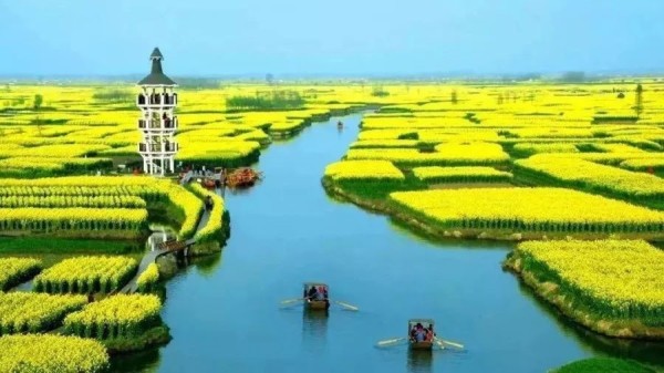 Xinghua Stack Field Elected as the World Irrigation Project Heritage 9 Xinghua Stack Field Elected as the World Irrigation Project Heritage 9