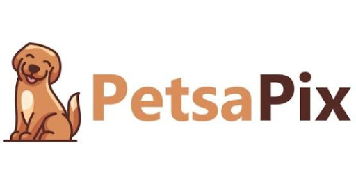 Petsapix Launches Online Pet Store, Offering Quality Products For Furry Friends 17 Petsapix Launches Online Pet Store, Offering Quality Products For Furry Friends 17