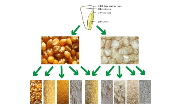 Working Principle And Structure Of Corn Flour Mill Machine 29 Working Principle And Structure Of Corn Flour Mill Machine 21