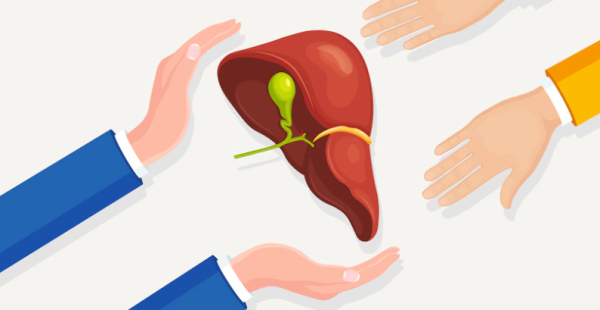 Cutting-Edge Liver Protection: Evaluating the Effectiveness of the Latest Ingredients, with a Focus on PQQ+ Inositol 43 Cutting-Edge Liver Protection: Evaluating the Effectiveness of the Latest Ingredients, with a Focus on PQQ+ Inositol 43