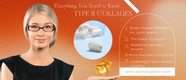 Demystifying Type II Collagen – Body’s Secret Weapon for Joint Health Demystifying Type II Collagen – Body’s Secret Weapon for Joint Health