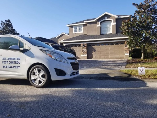 All American Pest Control Expands its Community Outreach, Offering Exclusive Yearly Deal in Tampa