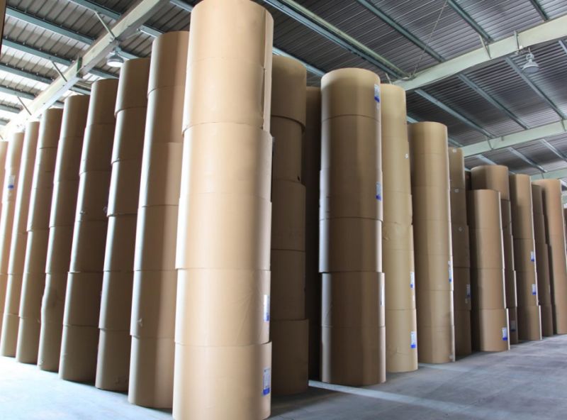 Ningbo Tianying: Paper Products Status On March Ningbo Tianying: Paper Products Status On March