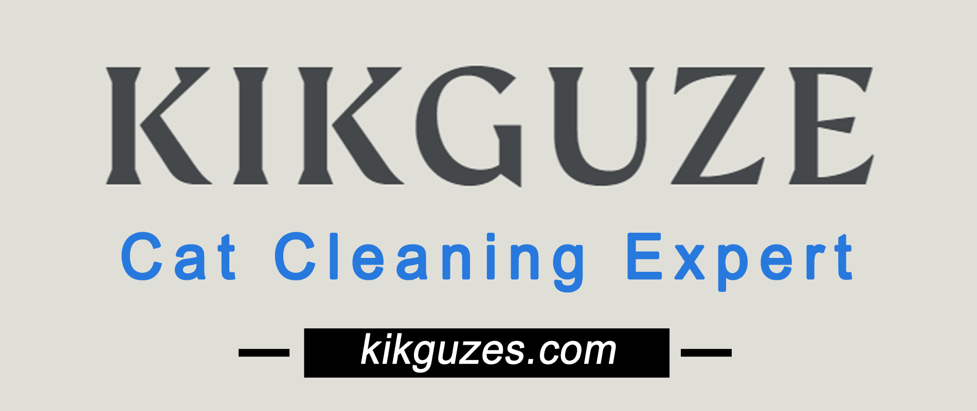 Top 5 Self-Cleaning Cat Litter Box Suppliers to Follow in 2024 Top 5 Self-Cleaning Cat Litter Box Suppliers to Follow in 2024
