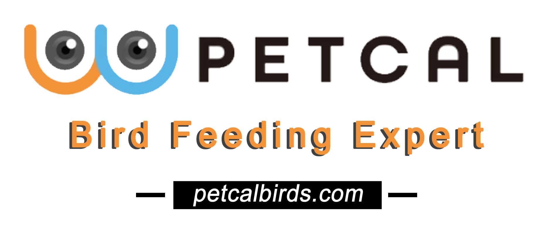 Top 6 Video Bird Feeder Suppliers to Follow in 2024 Top 6 Video Bird Feeder Suppliers to Follow in 2024