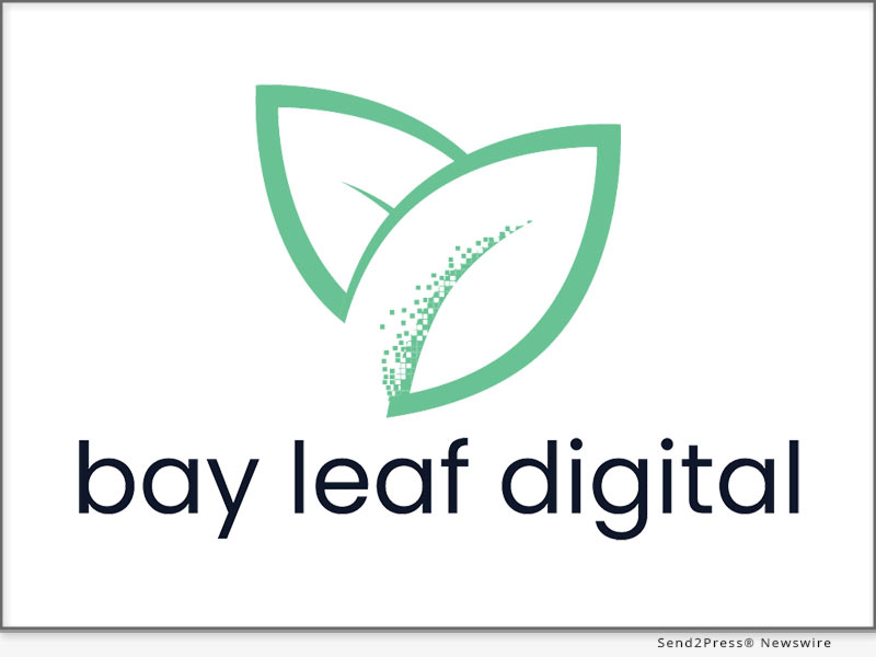 Bay Leaf Digital Earns HubSpot Software Industry Specialist Badge Bay Leaf Digital Earns HubSpot Software Industry Specialist Badge
